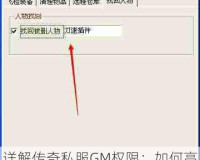 详解传奇私服GM权限：如何高效删除人物装备