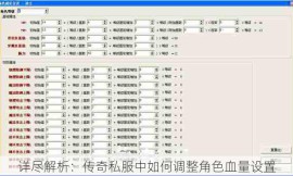 详尽解析：传奇私服中如何调整角色血量设置