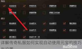 详解传奇私服如何实现自动使用元宝的技巧与设置