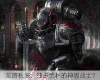 龙腾私服：独步武林的神级战士？