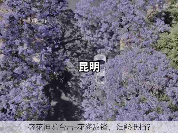 盛花神龙合击-花海敌锋，谁能抵挡？