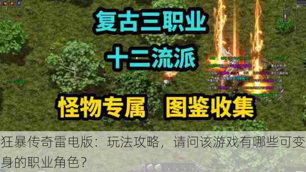 狂暴传奇雷电版：玩法攻略，请问该游戏有哪些可变身的职业角色？