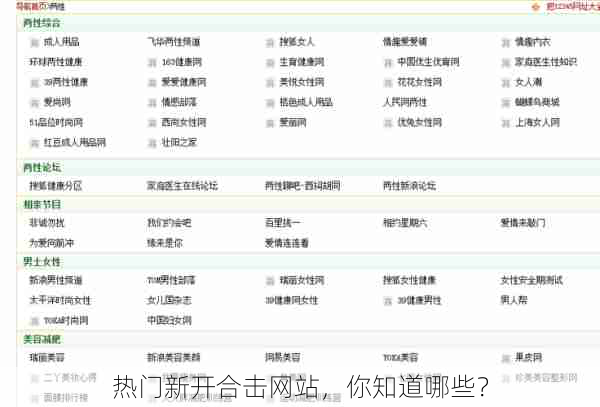 热门新开合击网站，你知道哪些？