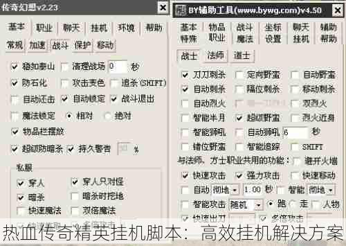 热血传奇精英挂机脚本：高效挂机解决方案